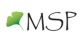 MSP bodmann