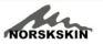 Norskskin