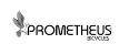 Prometheus Bicycles
