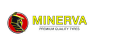 Minerva